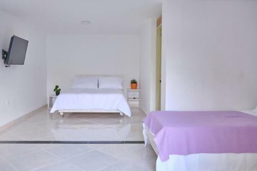 Lodge Hotel Casa Natura