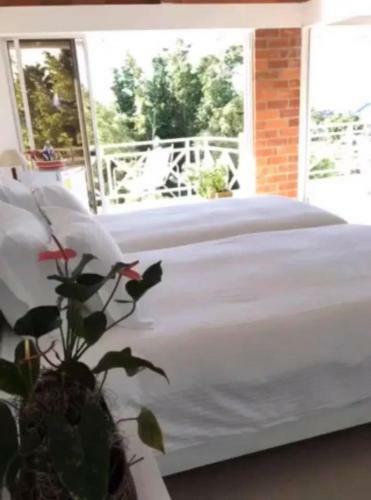 Lodge Hotel Casa Natura