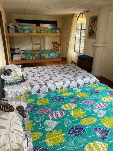 Hostal Arte Sin Fronteras Hostel