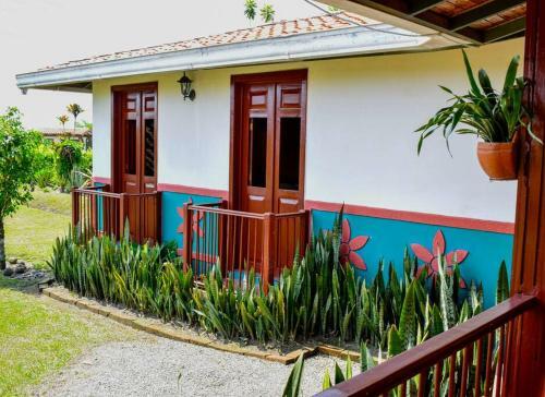 Para�so Natural Cerca Parque Del Caf�: Alejandr�a.