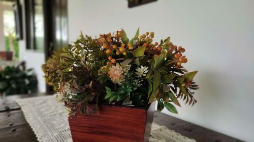 Finca Hotel El Saman De Alto Bonito