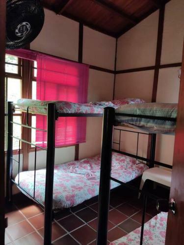 Las Palmeras Casa En Melgar