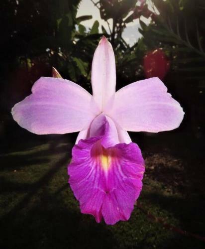 Alojamiento El Recuerdo