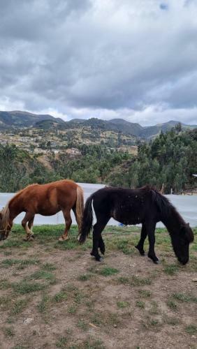 Zonas Camping Naturalove