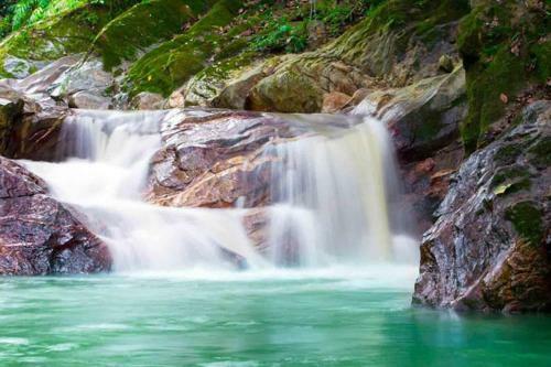 Caba�a Con Piscina En Minca