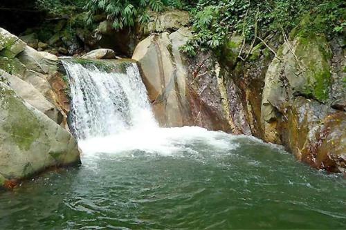 Caba�a Con Piscina En Minca
