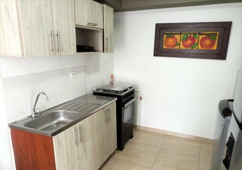 Acogedor Apartamento En El Centro Del Eje Cafetero