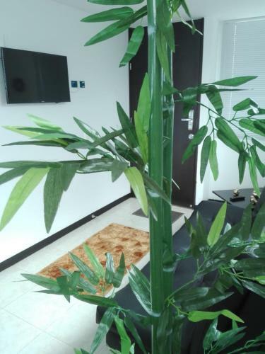 Apartamentos Piscina Y Parque Del Caf�