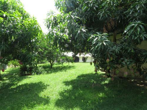 Finca Villa Elena De Los Lagos