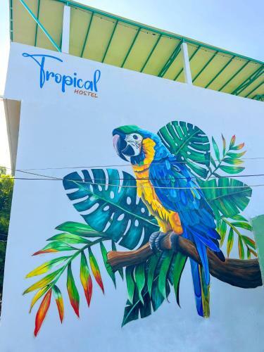 Hotel Tropical Hostel Santa Marta