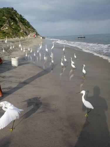 Apartamento Playa Salguero, Hermoso