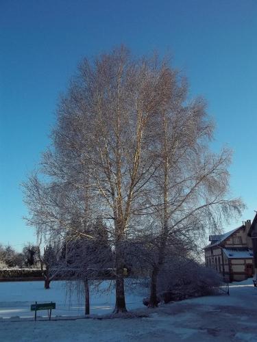 Bed & Breakfast Le Cardonnet