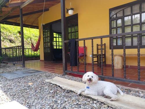 Casas De Campo - El Para�so