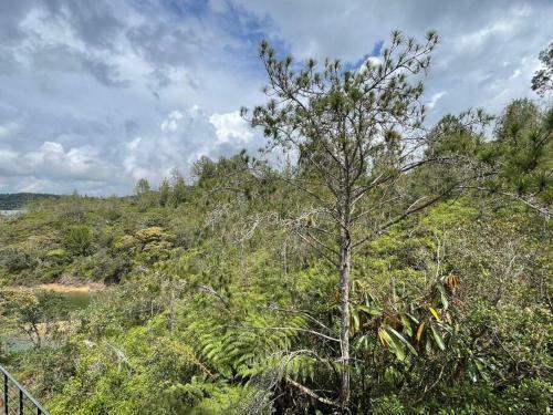 Aqua Guatap� - Lakeside Luxury Villa