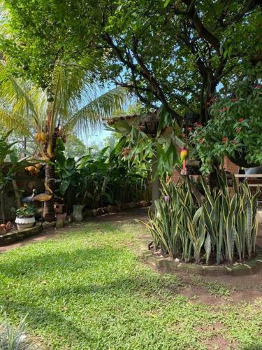 Finca Vacacional El Resplandor