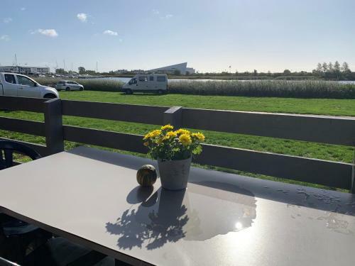 Tangloppen Fdm Camping