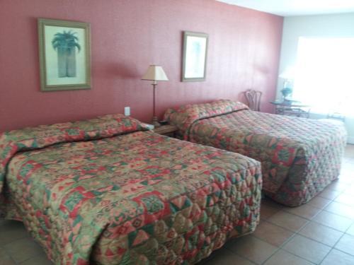 Hotel The Conch House Marina Resort