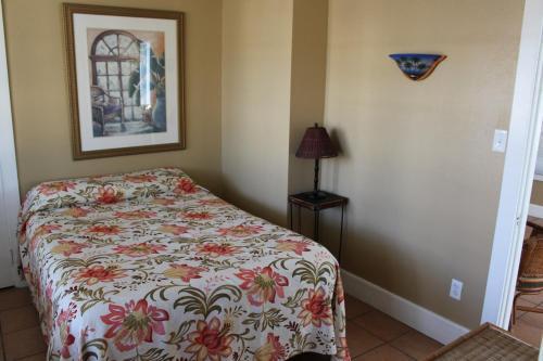 Hotel The Conch House Marina Resort