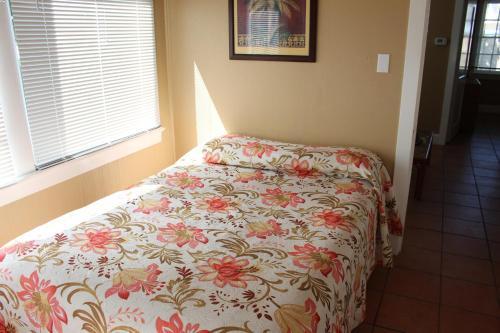 Hotel The Conch House Marina Resort