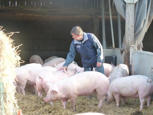 Bed & Breakfast La Ferme Chauvet