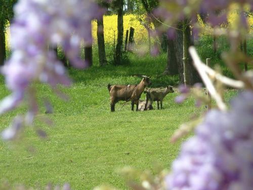 Bed & Breakfast Maison Prairie Bonheur