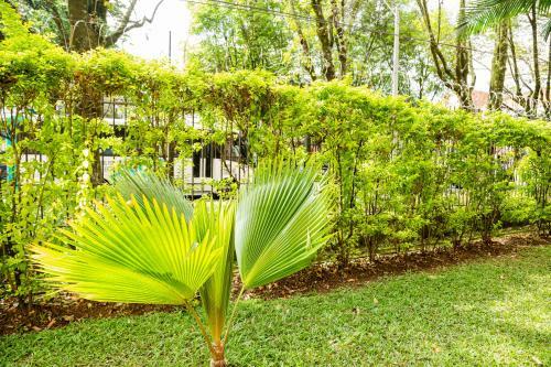 Apartamento Casa En Laureles Privada, Acogedora, C�moda Y Amplia
