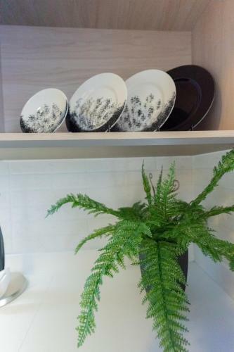 Apartamentos Gema By Cadissa