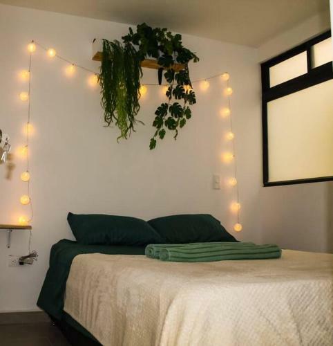 Apartamento Nativo House Amplio Y Acogedo