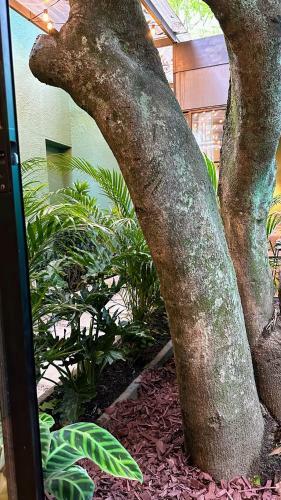 Muuk Boutique Hotel Campestre