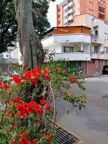 Apartamento Independiente Con Terraza En Bel�n Cerca A Laureles
