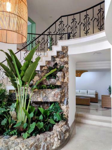 Hostal Vecino Coliving