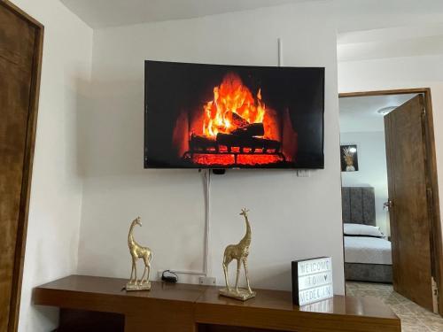 Apartamento Tu Hogar En La Eterna Primavera
