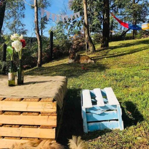 Apartamento Caba�a Del Mirador