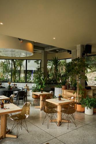 Hotel The Somos Flats Central Poblado