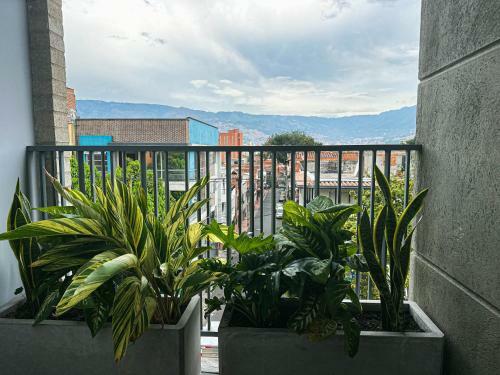 Moderno Y Acogedor Apartamento Medell�n Laureles
