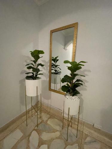 Habitaci�n Privada Y Moderna Medellin - Laureles 2
