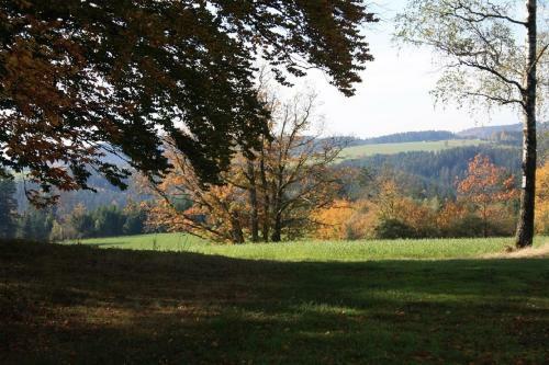 Apartment Am Buchenhain