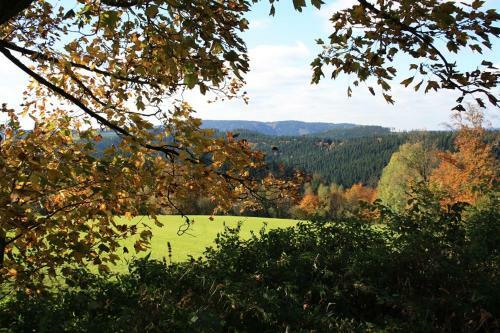 Apartment Am Buchenhain