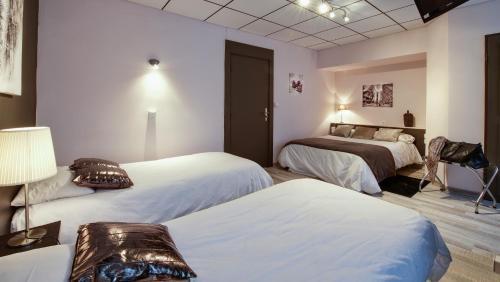 Hotel H�tel Restaurant La Villa Du Lac