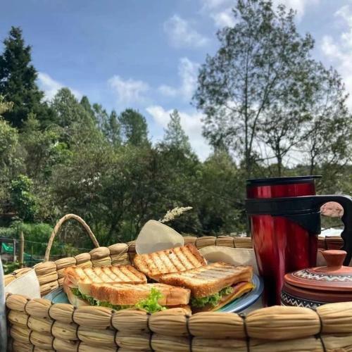 Hermosa Caba�a Con Huerta - Casa Verde