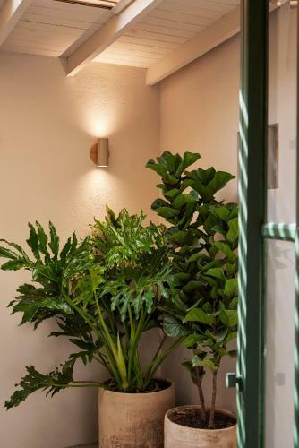Antipoda Hotel Boutique