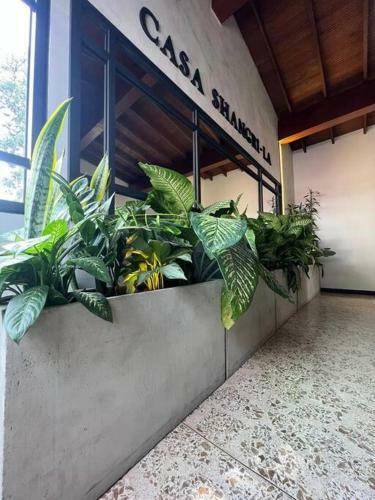 Villa Luxury - Casa Shangri-la