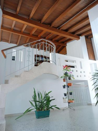 Espacio Seguro, Amplio Y Acogedor