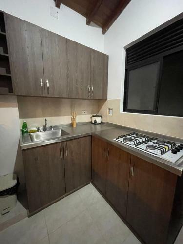 Apartamento Boreal! Hermoso Loft, Con Ambiente Tranquilo.
