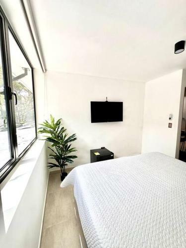 Apartamento Alz Habitaci�n 202 Laureles Estadio