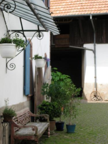 Apartamento La Maison De Caroline