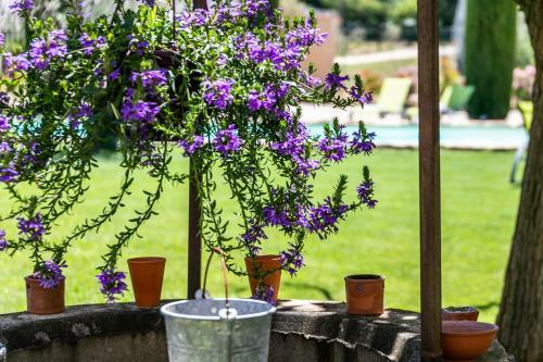 Bed & Breakfast Mas Saint Julien