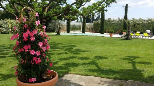 Bed & Breakfast Mas Saint Julien