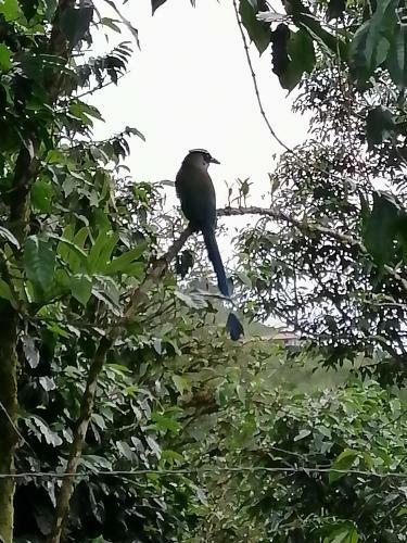 Alojamiento Rural Finca La Bendici�n