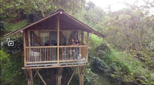 Alojamiento Rural Finca La Bendici�n